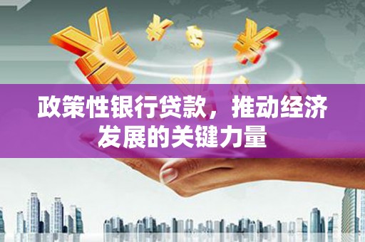 振兴政策性银行贷款，推动经济发展的关键力量