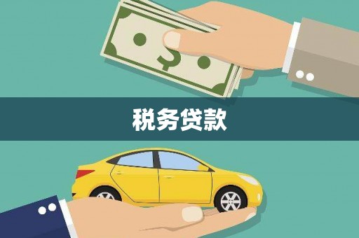 振兴税务贷款