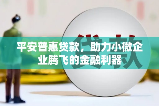 振兴平安普惠贷款，助力小微企业腾飞的金融利器