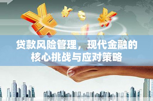 振兴贷款风险管理，现代金融的核心挑战与应对策略