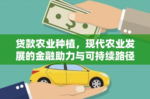 振兴贷款农业种植，现代农业发展的金融助力与可持续路径