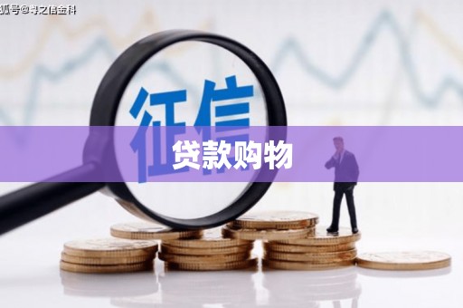 振兴贷款购物