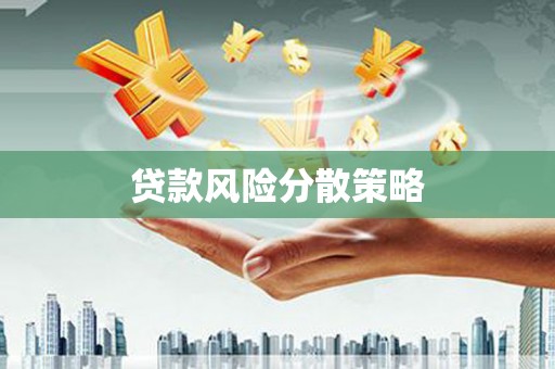 振兴贷款风险分散策略