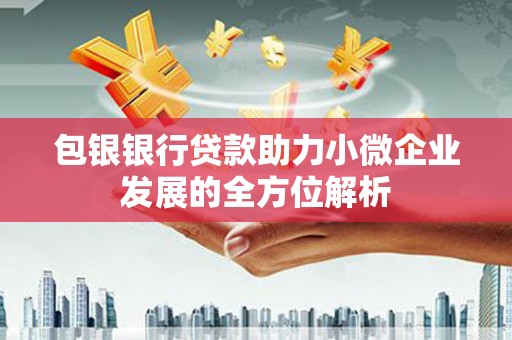 振兴包银银行贷款助力小微企业发展的全方位解析