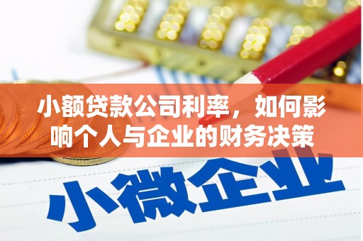 振兴小额贷款公司利率，如何影响个人与企业的财务决策