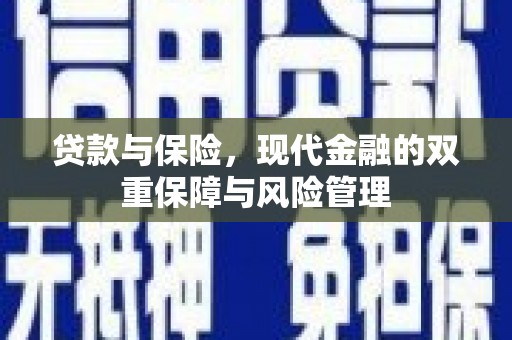 振兴贷款与保险，现代金融的双重保障与风险管理