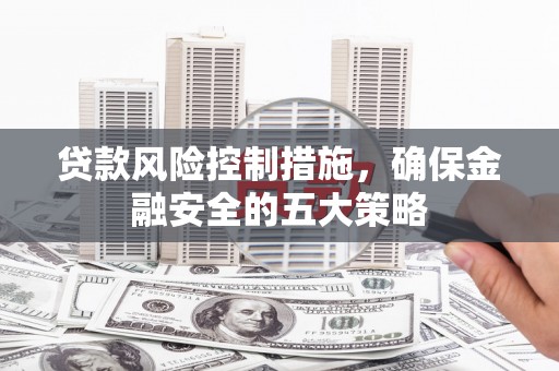 振兴贷款风险控制措施，确保金融安全的五大策略