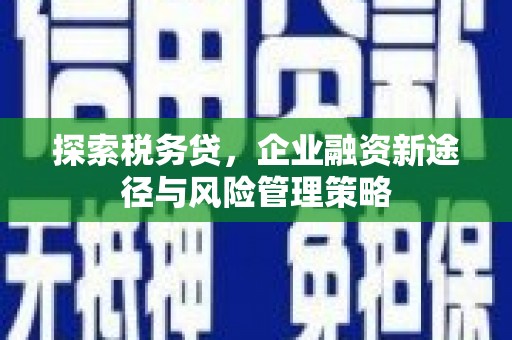 振兴探索税务贷，企业融资新途径与风险管理策略