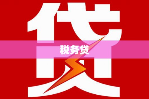 振兴税务贷