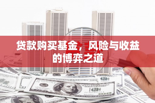 振兴贷款购买基金，风险与收益的博弈之道