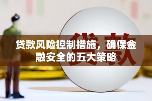 振兴贷款风险控制措施，确保金融安全的五大策略