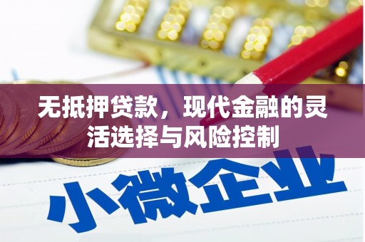 振兴无抵押贷款，现代金融的灵活选择与风险控制
