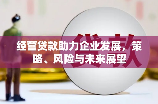 振兴经营贷款助力企业发展，策略、风险与未来展望