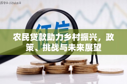 振兴农民贷款助力乡村振兴，政策、挑战与未来展望