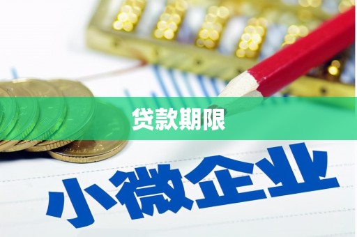 振兴贷款期限