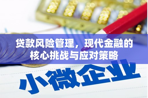 振兴贷款风险管理，现代金融的核心挑战与应对策略