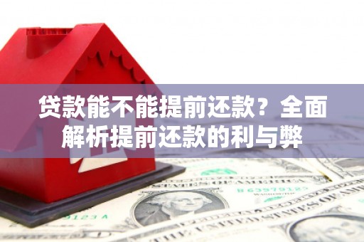 振兴贷款能不能提前还款？全面解析提前还款的利与弊