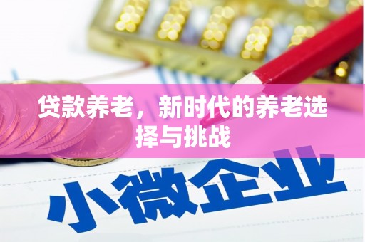 振兴贷款养老，新时代的养老选择与挑战