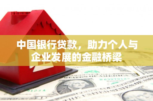 振兴中国银行贷款，助力个人与企业发展的金融桥梁