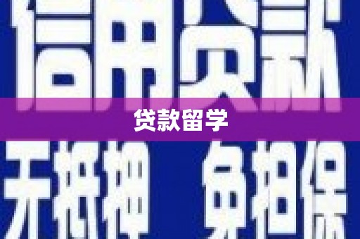 振兴贷款留学