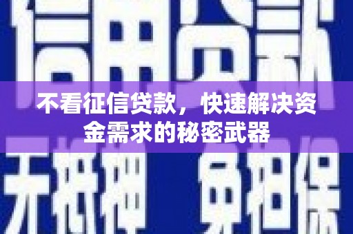 振兴不看征信贷款，快速解决资金需求的秘密武器