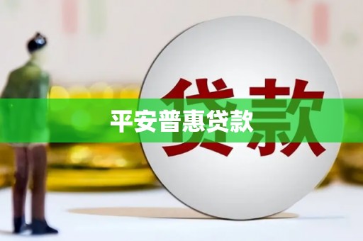 振兴平安普惠贷款