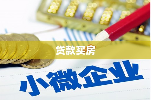 振兴贷款买房