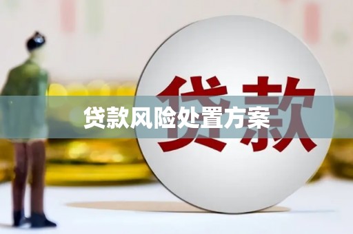 振兴贷款风险处置方案