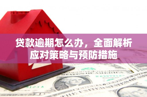 振兴贷款逾期怎么办，全面解析应对策略与预防措施