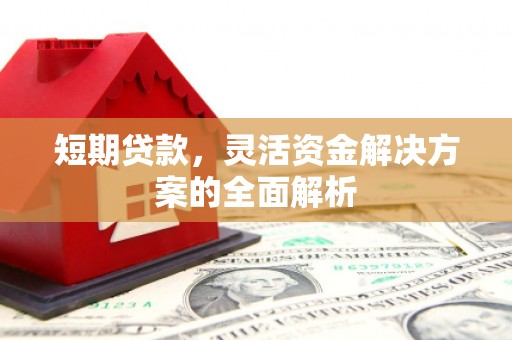 振兴短期贷款，灵活资金解决方案的全面解析