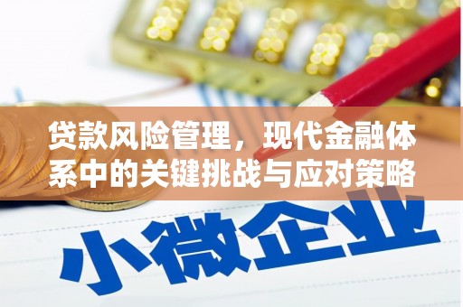 振兴贷款风险管理，现代金融体系中的关键挑战与应对策略