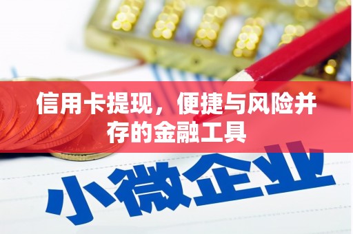 振兴信用卡提现，便捷与风险并存的金融工具