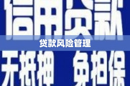 振兴贷款风险管理