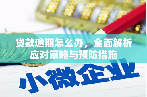 振兴贷款逾期怎么办，全面解析应对策略与预防措施
