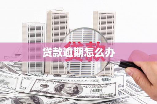 振兴贷款逾期怎么办