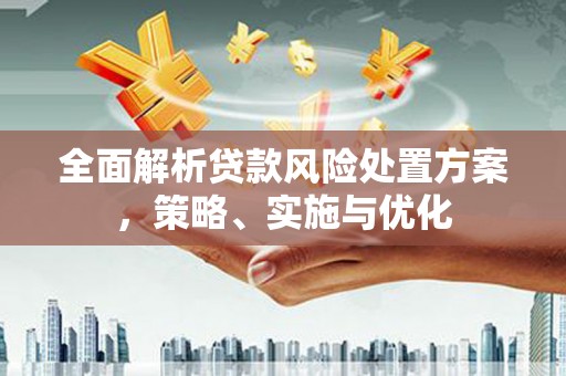 振兴全面解析贷款风险处置方案，策略、实施与优化