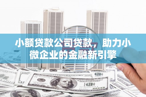 振兴小额贷款公司贷款，助力小微企业的金融新引擎