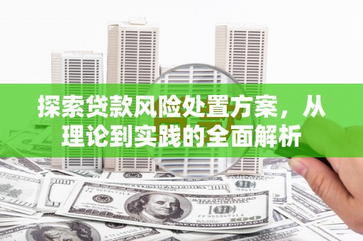 振兴探索贷款风险处置方案，从理论到实践的全面解析
