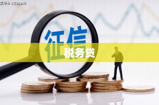 振兴税务贷