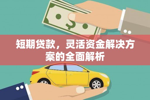 振兴短期贷款，灵活资金解决方案的全面解析