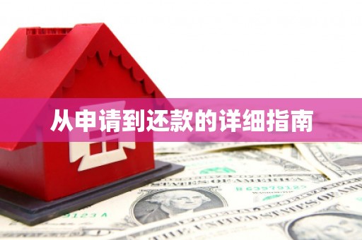 振兴从申请到还款的详细指南