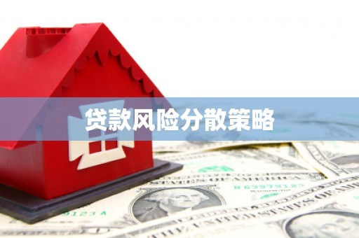 振兴贷款风险分散策略