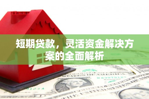 振兴短期贷款，灵活资金解决方案的全面解析