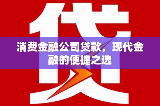 振兴消费金融公司贷款，现代金融的便捷之选