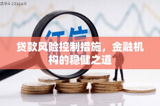 振兴贷款风险控制措施，金融机构的稳健之道