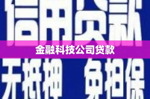 振兴金融科技公司贷款