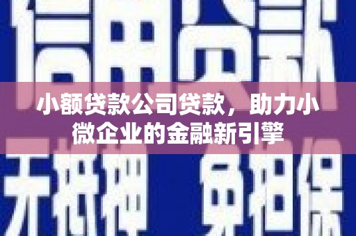 振兴小额贷款公司贷款，助力小微企业的金融新引擎