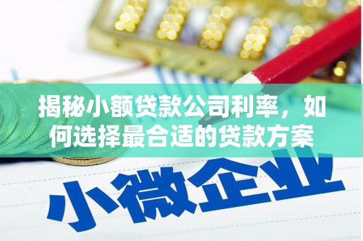 振兴揭秘小额贷款公司利率，如何选择最合适的贷款方案