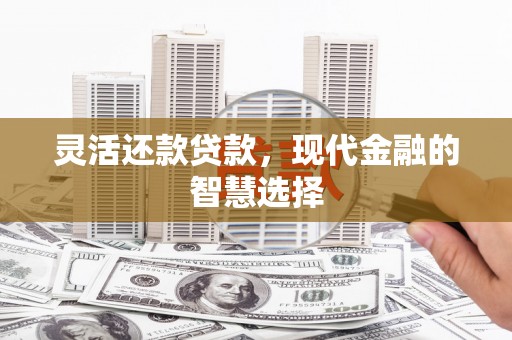 振兴灵活还款贷款，现代金融的智慧选择