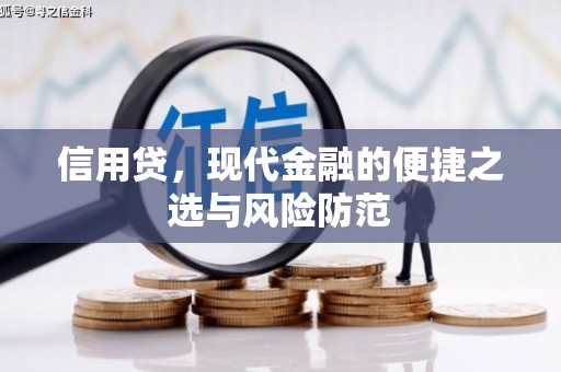 振兴信用贷，现代金融的便捷之选与风险防范